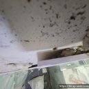 힐탑플러스 이미지