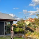 스테이오아 이미지