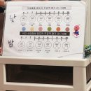삼성본병원 | 서울삼성병원 아토피클리닉 후기 돌아기 알레르기 검사