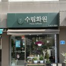 수림결혼정보 | 웨딩 촬영 부케, 송파 수림화원에서 컬러지정으로 준비한 후기