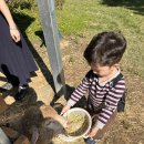 현우목장 이미지