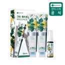 후레쉬 | 덴티스테 시트러스후레쉬 치약 솔직 후기, 입냄새 고민 끝! (ft. 올영 추천템)