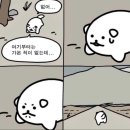 장군통갈비 | 3월 I 일상이 먹다가 끝나겟네 돼지도 안이럴텐데
