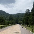 속리산조각공원 티스토리