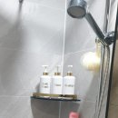 뉴보문 포레스트 이미지