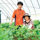 '스마트팜'으로 창농하기! 농업과 기술이 만난 새로운 유망 창업아이템 이미지