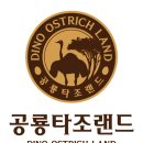 공룡타조랜드 이미지