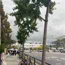 대성종합카세차장 | [고양]2026 빅뱅콘서트 중콘후기 260822 /F11구역 9열시야