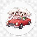 서해카센타 | 🚗 제일 에어컨·히터 탈취제 : 차량냄새 완전 제거! 실내세차 수준의 상쾌함