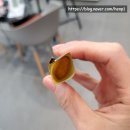 이화바로동물약국 이미지