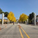 최강수학 이미지