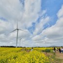호사옥 | 제주 서귀포시 랍스터 맛집 섭지코지 근처 랍씨네