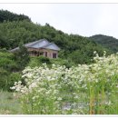 인화농장 이미지