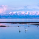 (주)무호 이미지