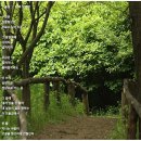 오솔길 - 화성시 | 오솔길