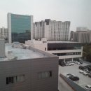 영화빌딩(농협) 이미지