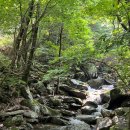 213회 유명산 (862m) 이미지