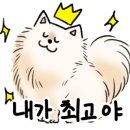 비스트로찬 이미지