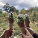 2022 오사카/교토 3박4일 여행 맛집(식당) 후기