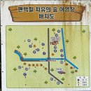 편백나무숲 | [장성 편백힐 치유의숲 a14 사이트] 전남 편백나무 숲 광주근교 캠핑장 2박3일 솔직후기