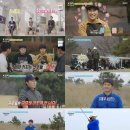 박**-1 일간스포츠