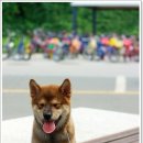 볼트