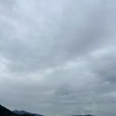 상표목장 | 여수 카페 디저트 맛집 또오넛 테이크아웃해서 바다로 가자