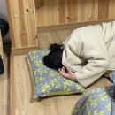 무주읍167 | 무주 여행 l 덕유산 주변 숙소 '허니스테이' 계곡이 있는 독채 펜션 2인실 피넛하우스 이용 후기