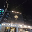 보나트리 호텔 네이버블로그
