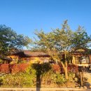 해가헌 | 🌿 함평여행에서 만난 감성 가득한 한옥숙소, 해가헌 후기 🏡