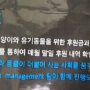 에브리캣 이미지