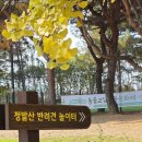 정발산파크골프장 | 낙엽밟으며 가을단풍 특별한 놀거리 정발산 일산 고양 파크골프장 반려견놀이터 평심루전망대 걷기 좋은...