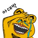 민들레펜션 | 강원 인제 내린천펜션 민들레향기펜션 후기 고양이 천국 별 사진 맛집