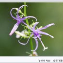 시원한 바람