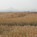 거시기꼬막식당 이미지