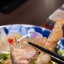 은빛물고기 | 잠실새내역 숙성회 맛집 남해물고기 송파오마카세