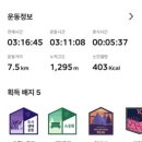 만월산배수지체육광장 | 만월산배수지체육공원 vs 만월산-한남정맥 산행으로 오른 만월산은 기러기가 날면서 바라보는 것 같이...