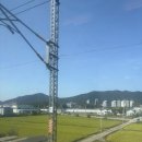 평화등대 | 1박2일 뚜벅이여행] Day1(너구리식당/커피창고로/카페석산/목포해상케이블카/등대식육식당/평화광장분수쇼)