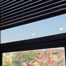 최고산면옥 | [대구] 수성못 막국수집, 최고산면옥 (내돈내먹 후기)