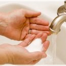 용인대 챔피언 유도관 이미지