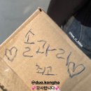 콩과하 이미지