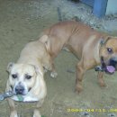 메이데이 이미지