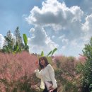 태안스파펜션 채플힐 이미지