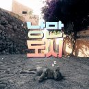 낭만도시 브런치