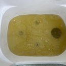 고양이미용 우다다냥 이미지