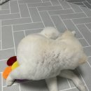 살롱드뚜뚜 이미지