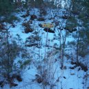 수리봉목장 이미지