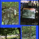 설악산에서 봄을 보내며 - 대청봉을 넘고 공룡능선을 타다 ! (2026.5.28.목 - 5.29.금) 이미지