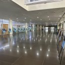 세종시교통장애인협회 이미지