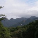 속리산 법주사 이미지